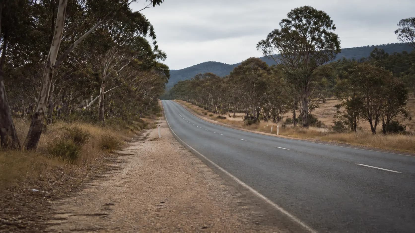 Australian country highway through eucalyptus bushland
